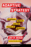 book cover for Adaptive Strategy