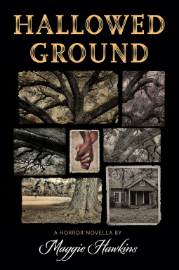book cover for Hallowed Ground