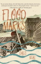 book cover for Floodmarks