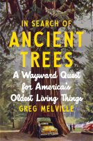 book cover for In Search of Ancient Trees