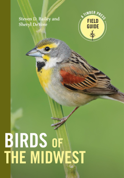 book cover for Birds of the Midwest