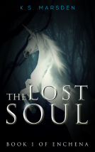 book cover for The Lost Soul