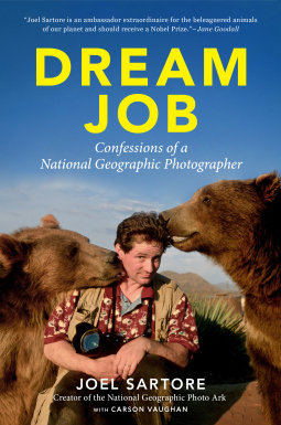 book cover for Dream Job
