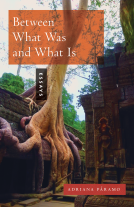 book cover for Between What Was and What Is