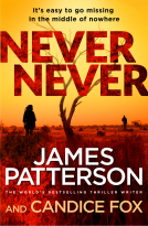 book cover for Never Never