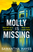 book cover for Molly is Missing