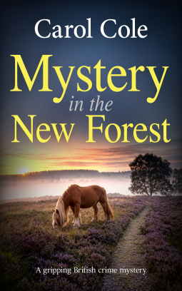 book cover for Mystery in the New Forest