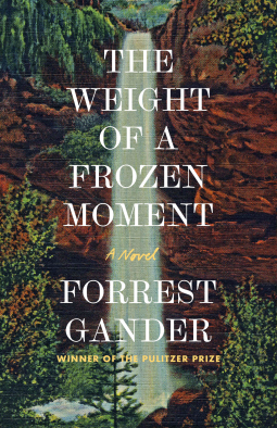 book cover for The Weight of a Frozen Moment