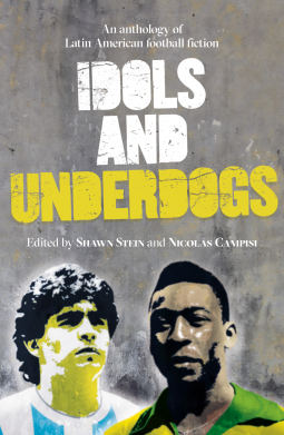 book cover for Idols and Underdogs
