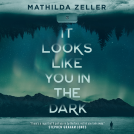 book cover for It Looks Like You in the Dark