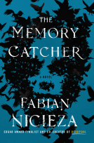 book cover for The Memory Catcher