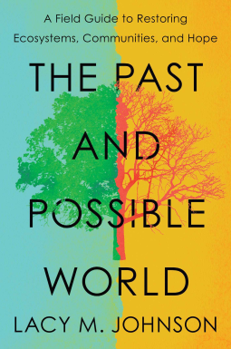 book cover for The Past and Possible World