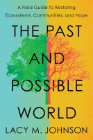 book cover for The Past and Possible World