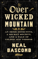book cover for Over Wicked Mountain