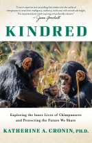 book cover for Kindred