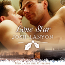 book cover for Lone Star