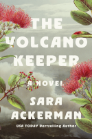 book cover for The Volcano Keeper