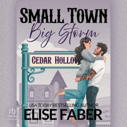 book cover for Small Town, Big Storm
