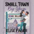 book cover for Small Town, Big Storm