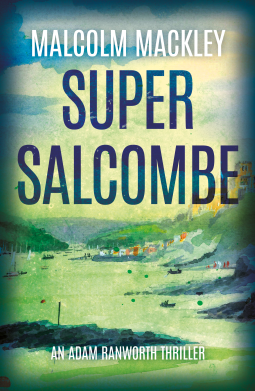 book cover for Super Salcombe