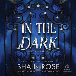 book cover for In the Dark