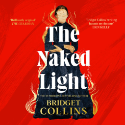 book cover for The Naked Light