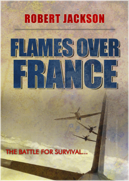 book cover for Flames over France