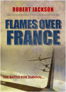 book cover for Flames over France