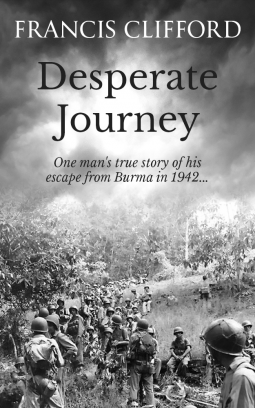 book cover for Desperate Journey