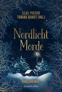Buchcover für Nordlichtmorde. 20 Kurzkrimis