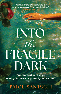 book cover for Into the Fragile Dark