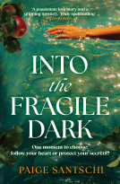 book cover for Into the Fragile Dark