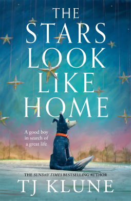 book cover for The Stars Look Like Home