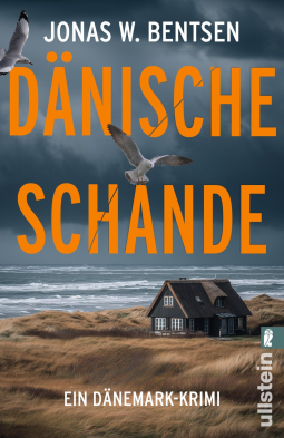 Buchcover für Dänische Schande