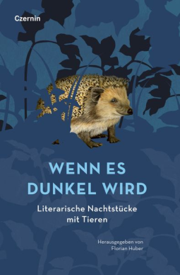 Buchcover für Wenn es dunkel wird