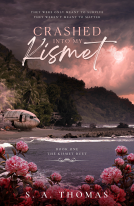 book cover for Crashed Into My Kismet