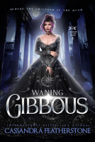 book cover for Waning Gibbous