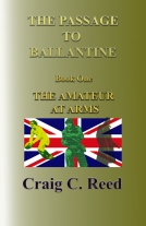 book cover for The Amateur at Arms