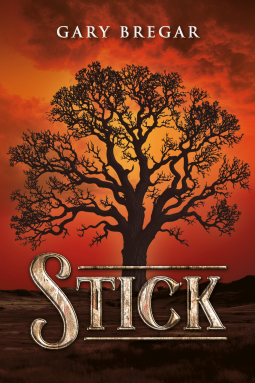 book cover for Stick