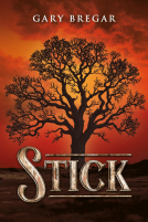 book cover for Stick