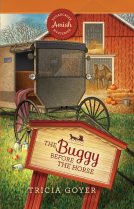 book cover for The Buggy before the Horse