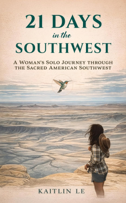 book cover for 21 Days in the Southwest