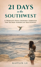 book cover for 21 Days in the Southwest