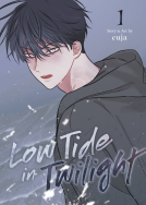 book cover for Low Tide in Twilight Vol. 1