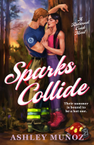 book cover for Sparks Collide