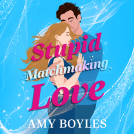 book cover for Stupid Matchmaking Love