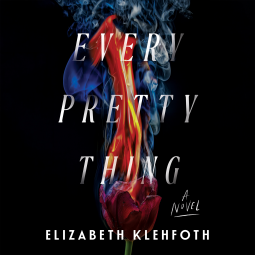 book cover for Every Pretty Thing