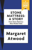 book cover for Stone Mattress