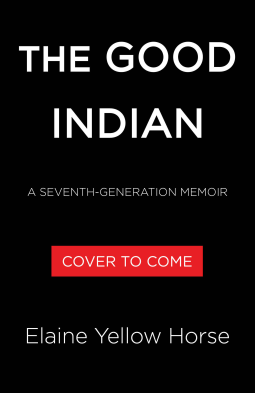 book cover for The Good Indian