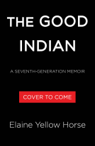book cover for The Good Indian